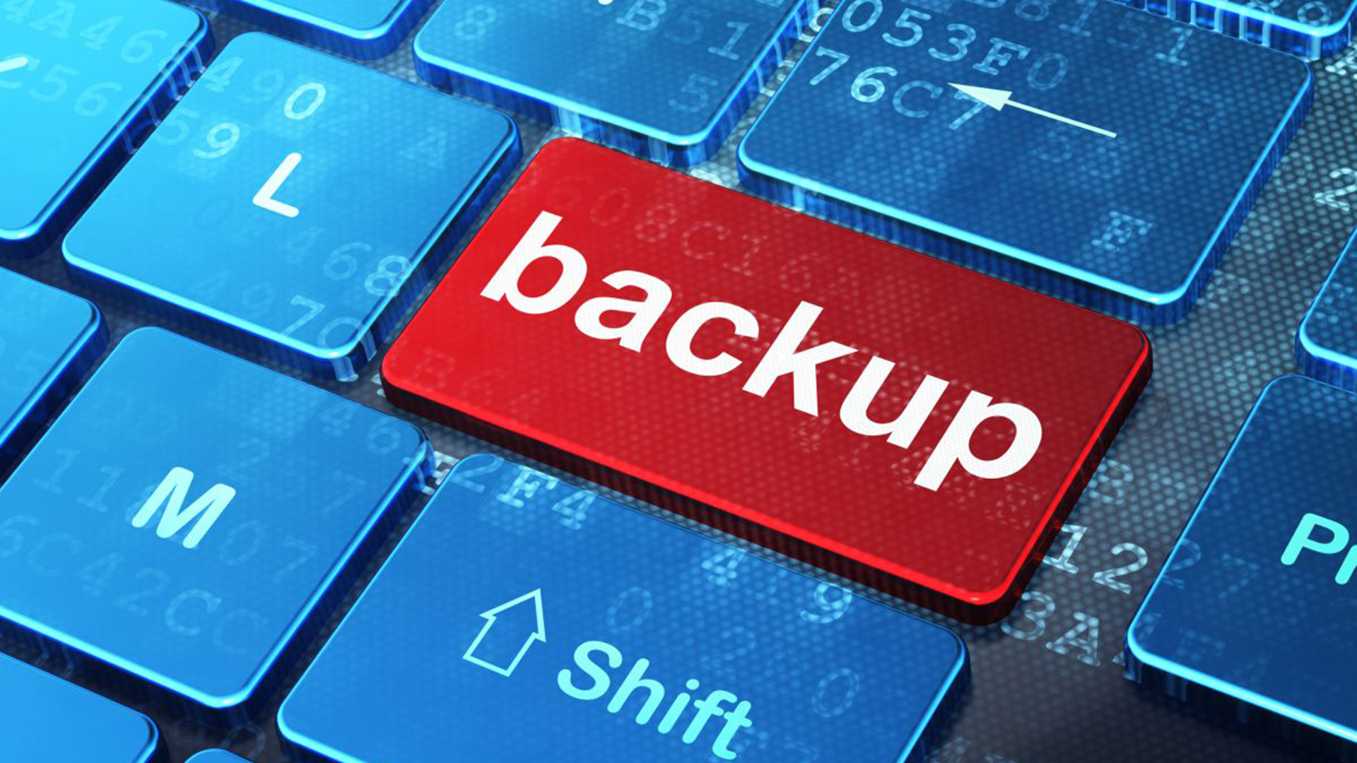 backup do site