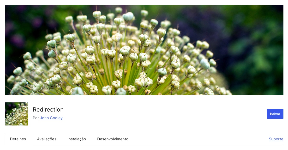 Redirection Plugin WordPress