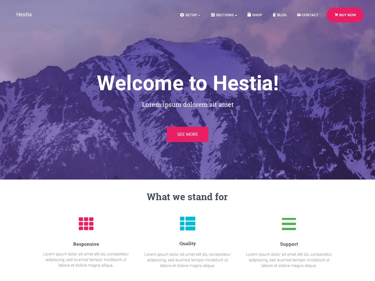 Temas WordPress Gratuitos