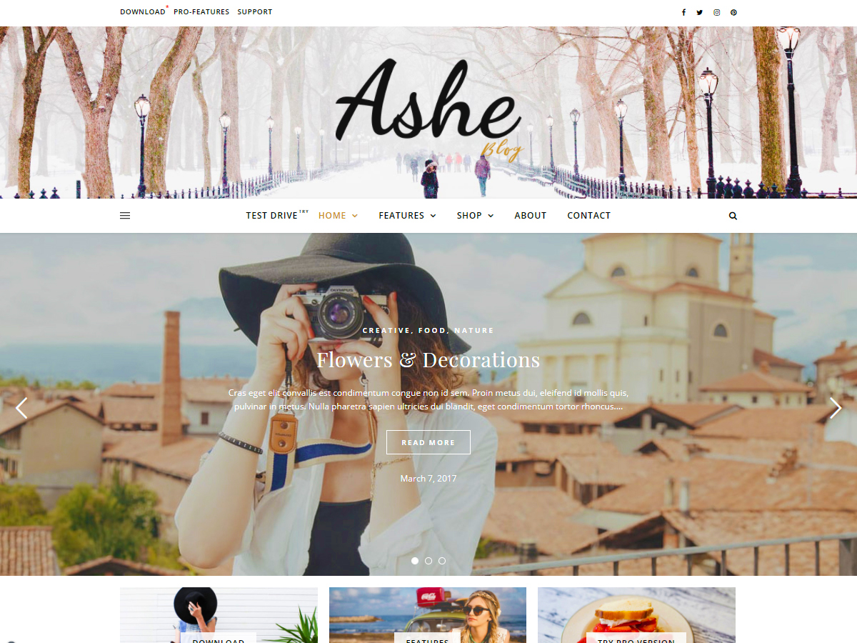 Temas WordPress Gratuitos