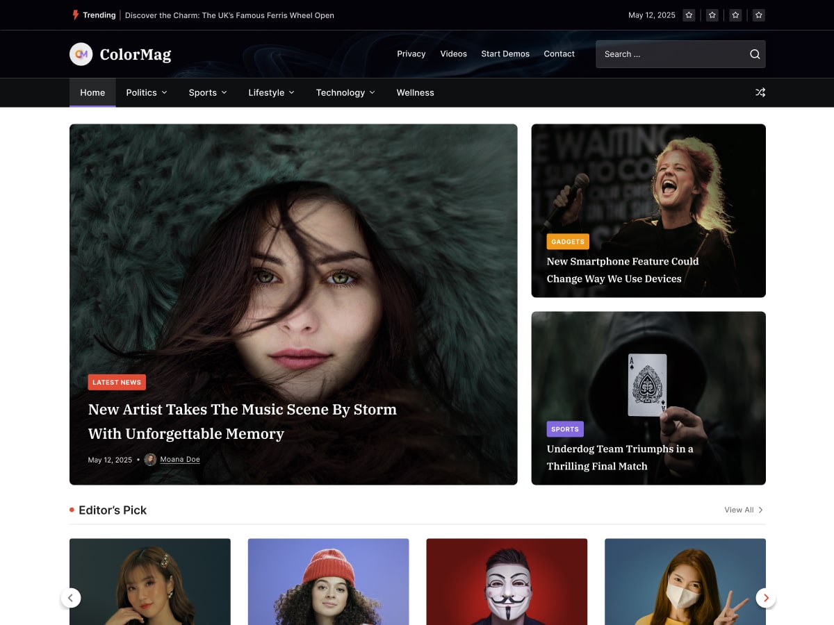 Temas WordPress Gratuitos